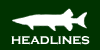 HEADLINES
