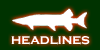 HEADLINES